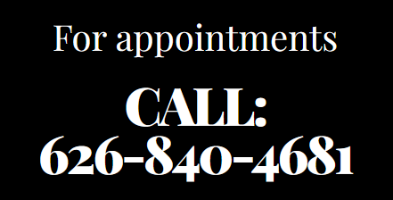 Salon Interactive Link