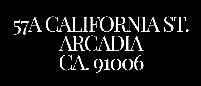 Salon Interactive Link